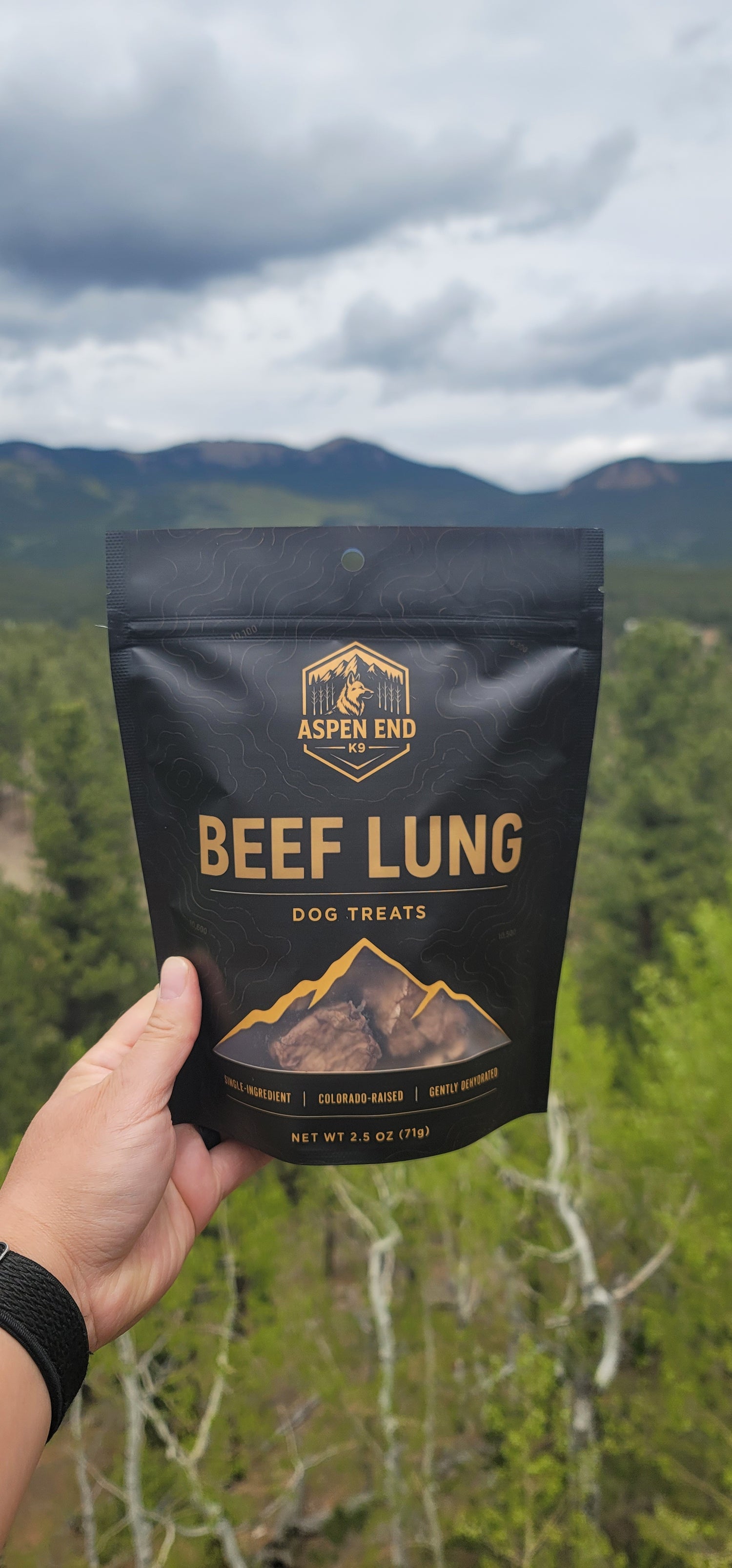 Beef Lung Treats