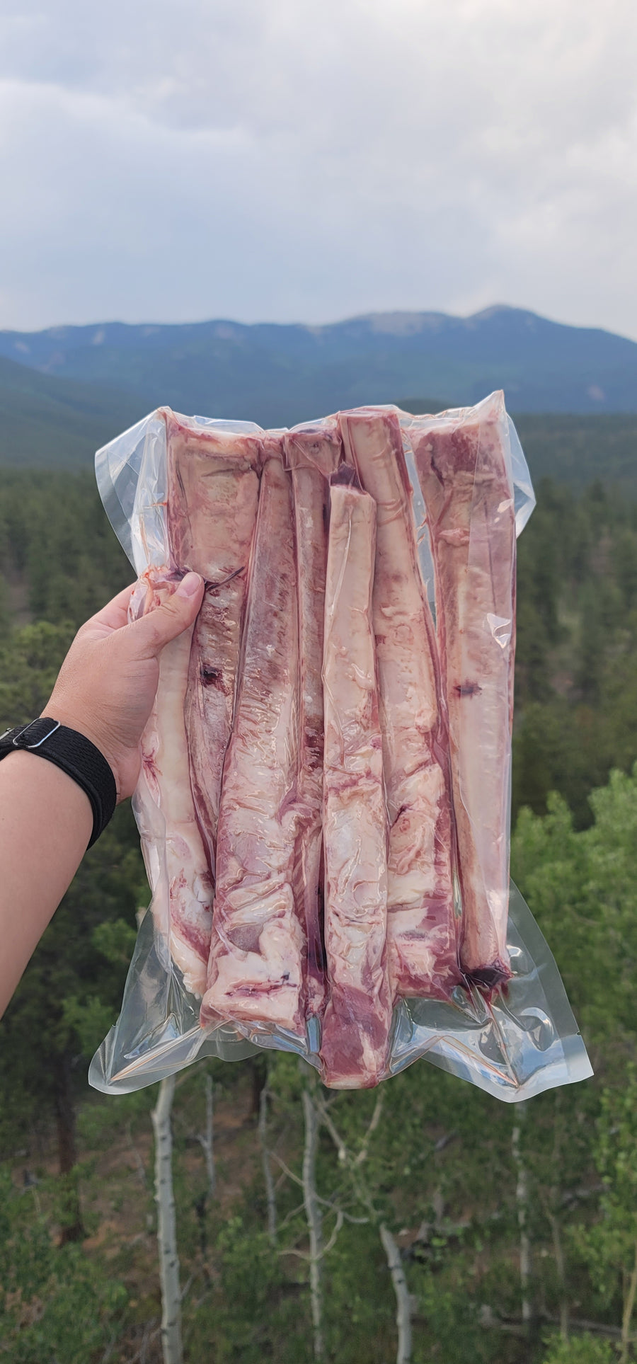 Beef Bones - Rib 12"