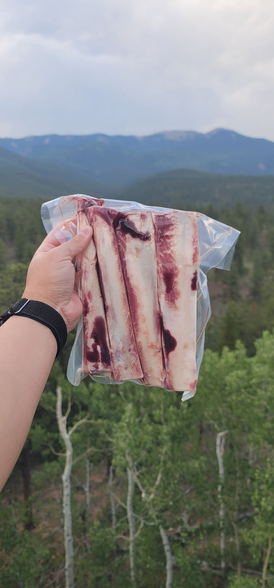 Beef Bones - Rib 6"