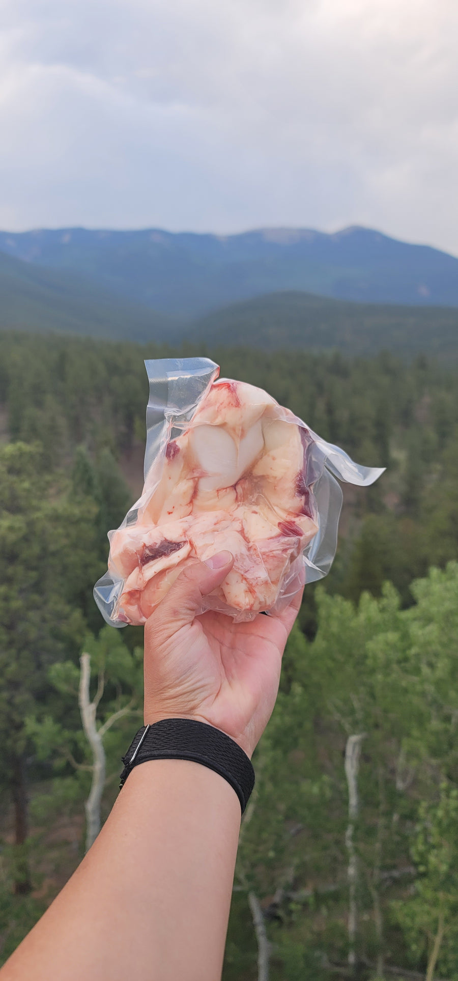 Beef Bones - Kneecap (Frozen)