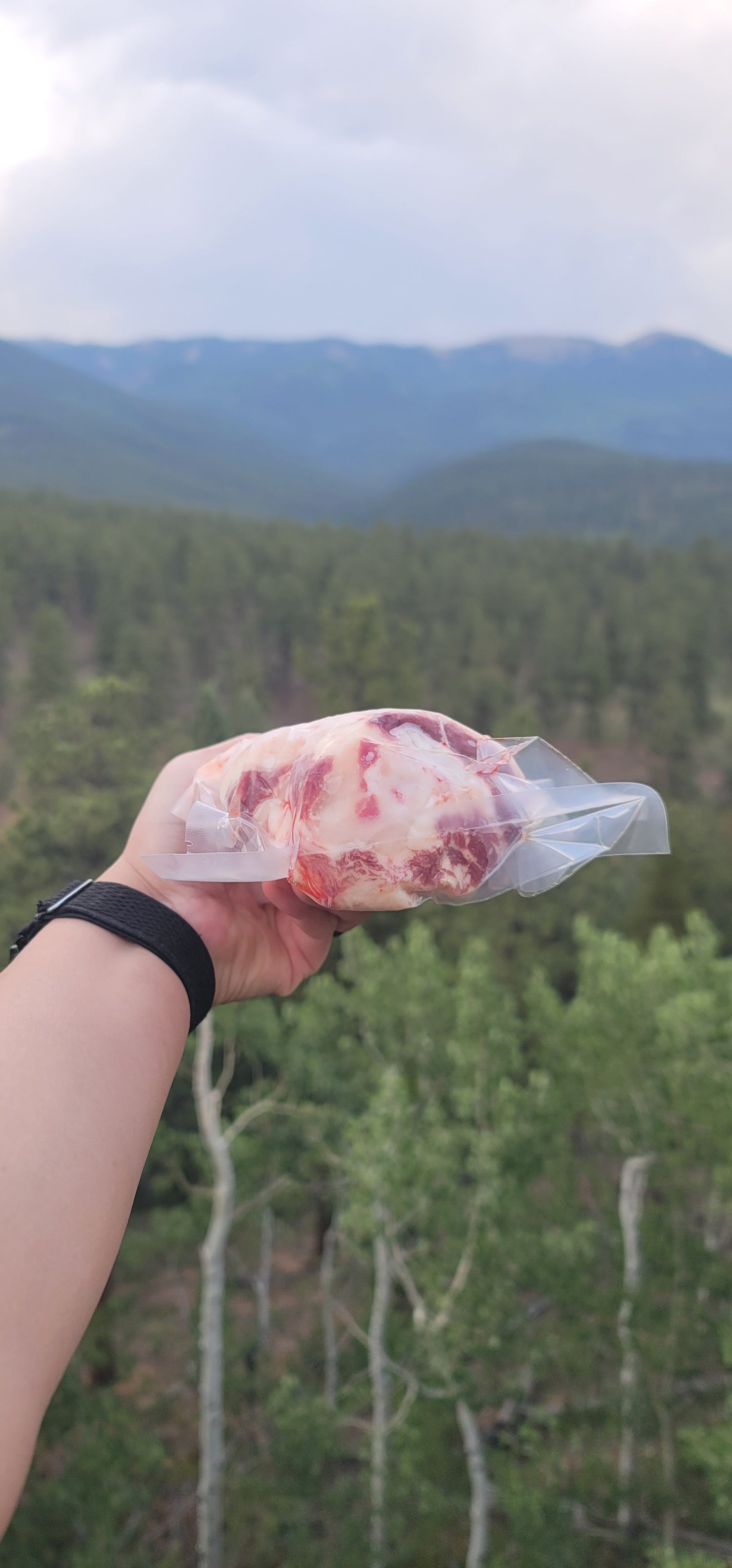 Beef Bones - Kneecap (Frozen)