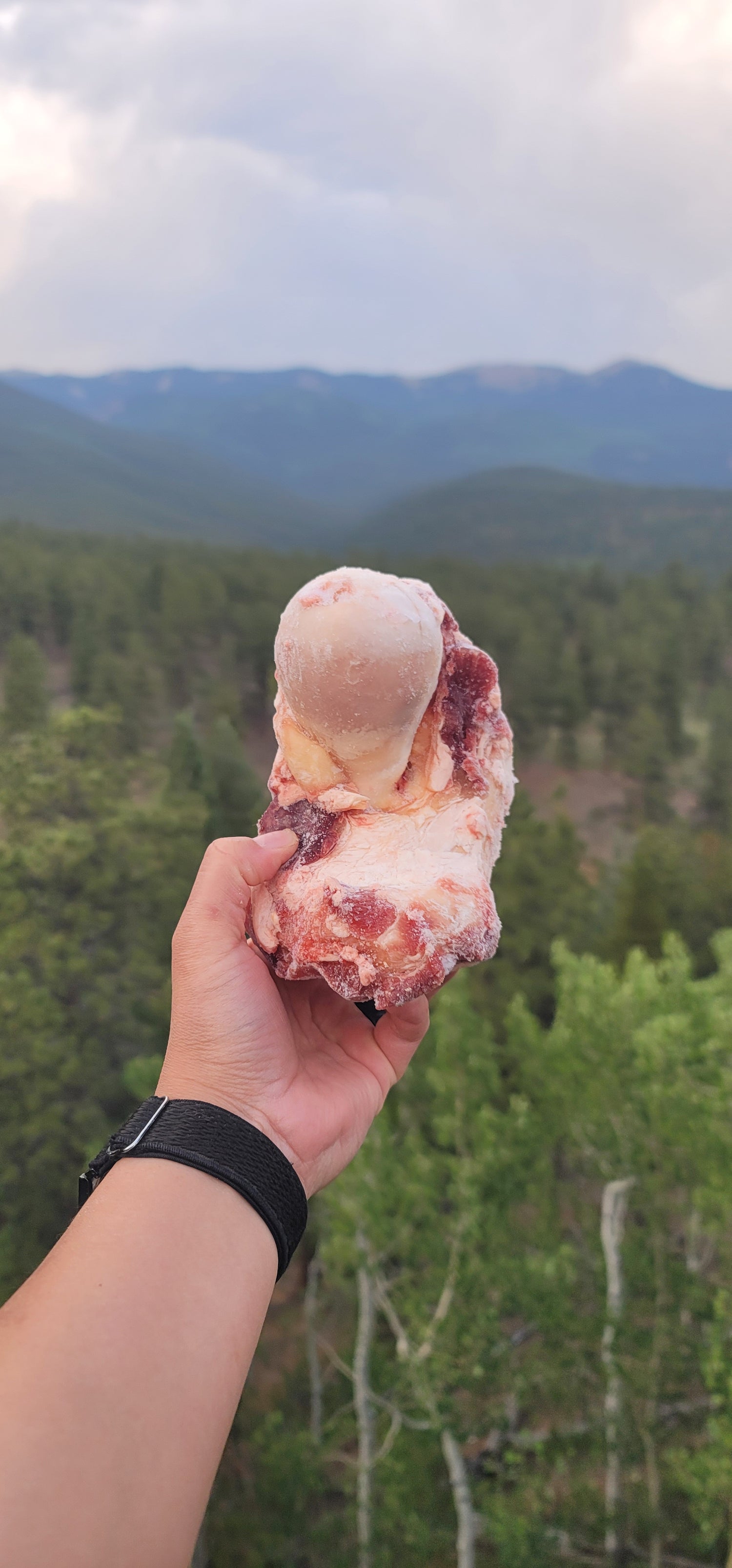 Beef Bones - Knuckle (Frozen)
