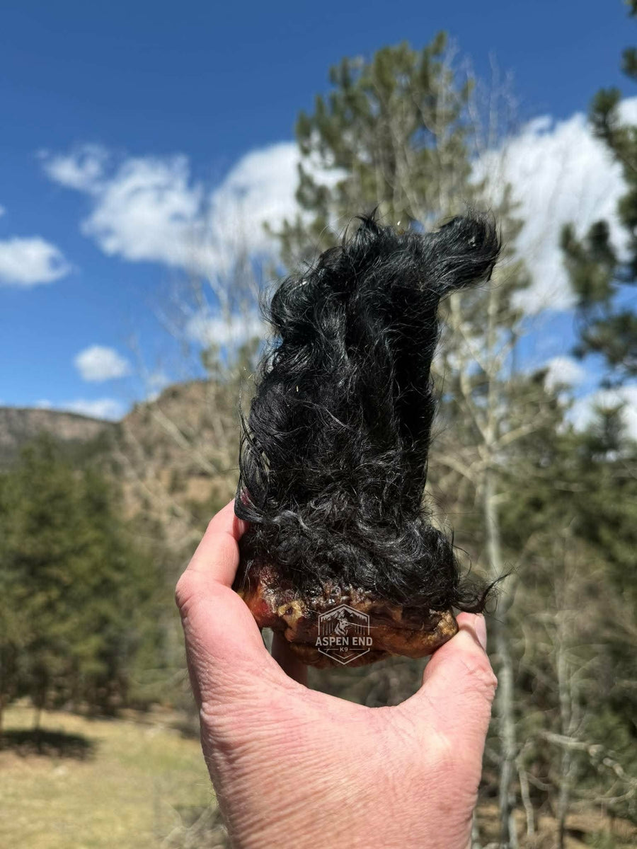 Cow Ears - With Fur