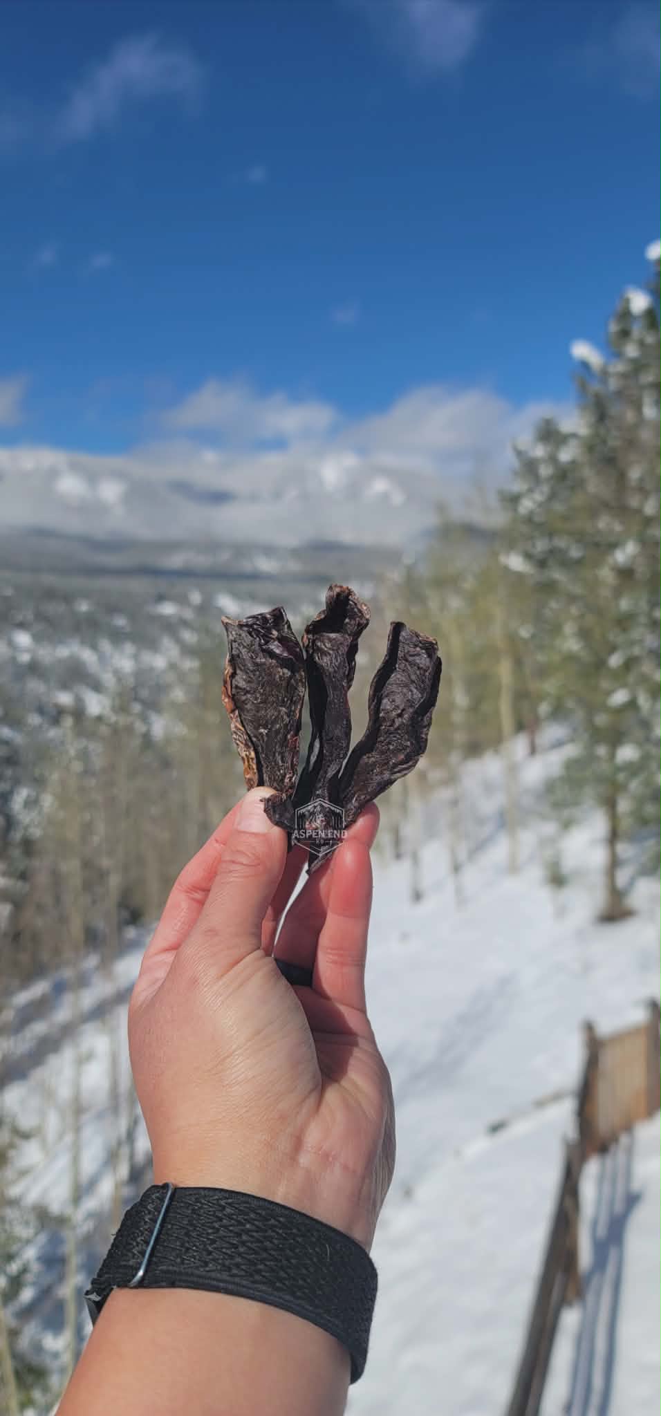 Beef Heart Treats