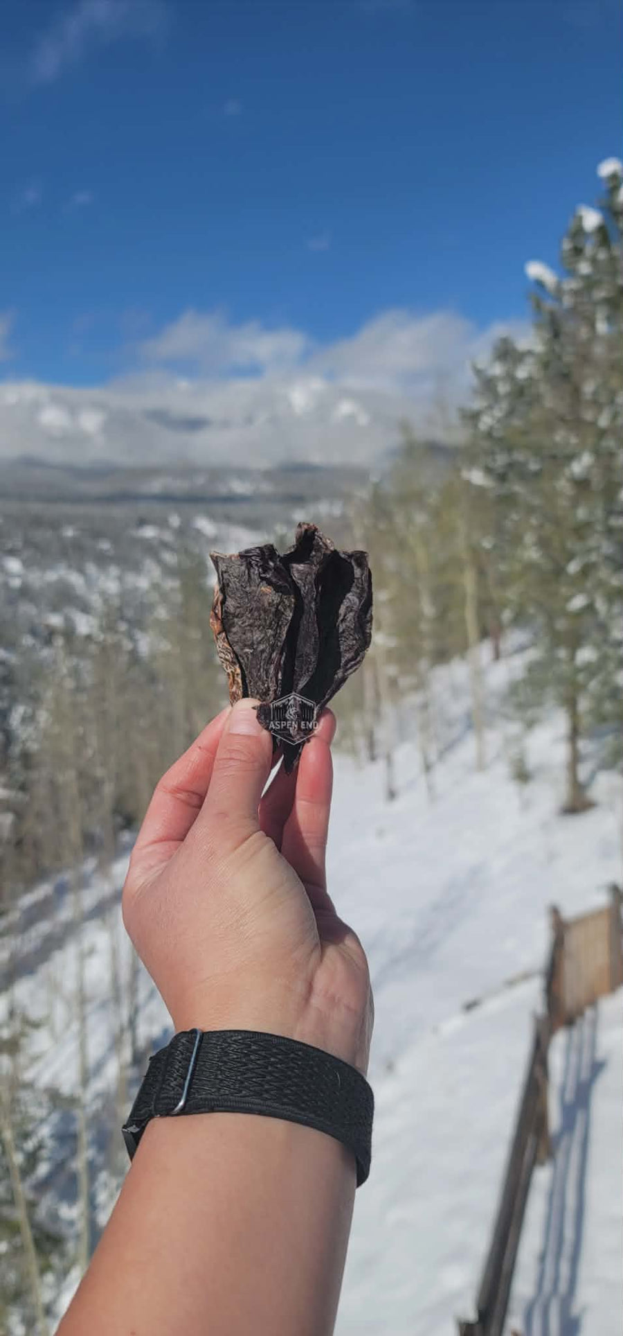 Beef Heart Treats