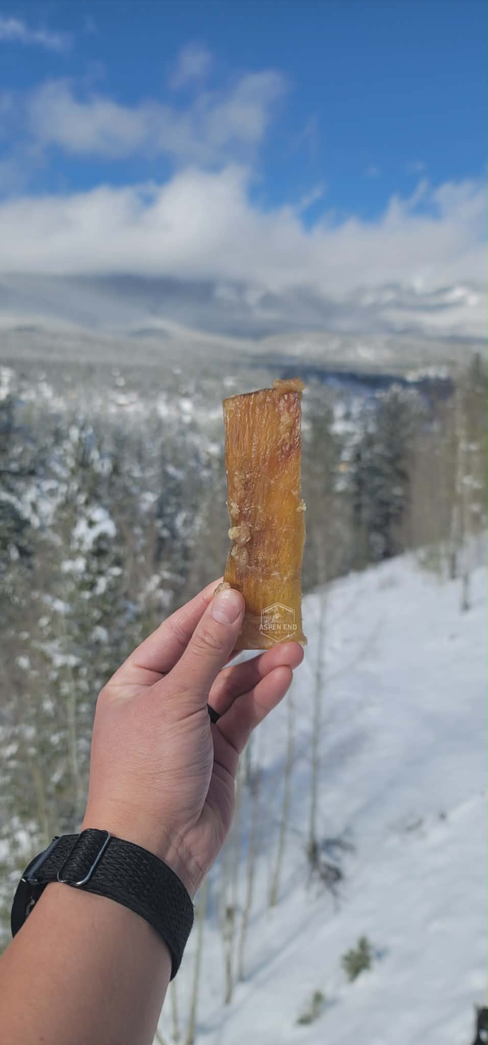 Beef Tendons - Backstrap